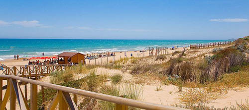 playa-centro-de-guardamar-del-segura-alicante