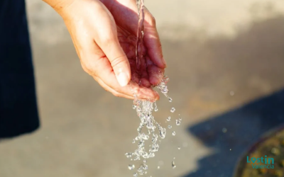 50 fuentes de agua fría y filtrada en Valencia: dónde encontrarlas 