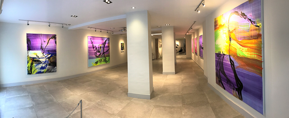shiras galeria